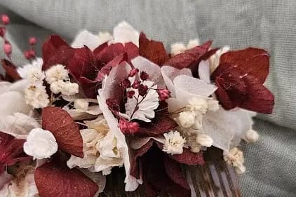 Éclat de Cosmos — photo 5