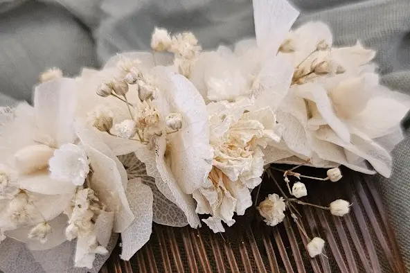 Éclat de Cosmos — photo 6