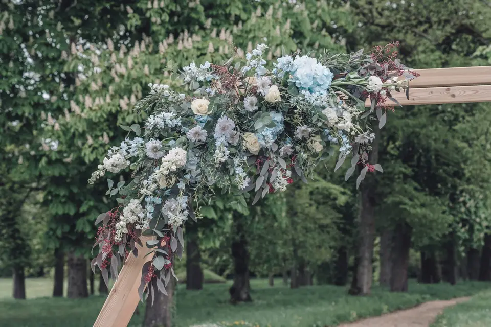 Éclat de Cosmos — photo 8