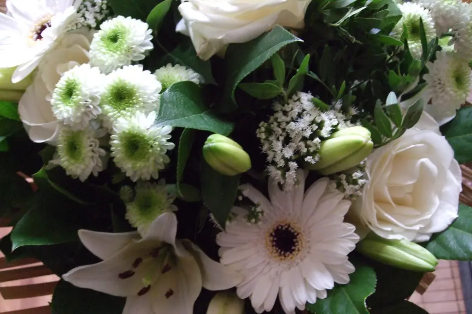 Catel Organisation — photo 6