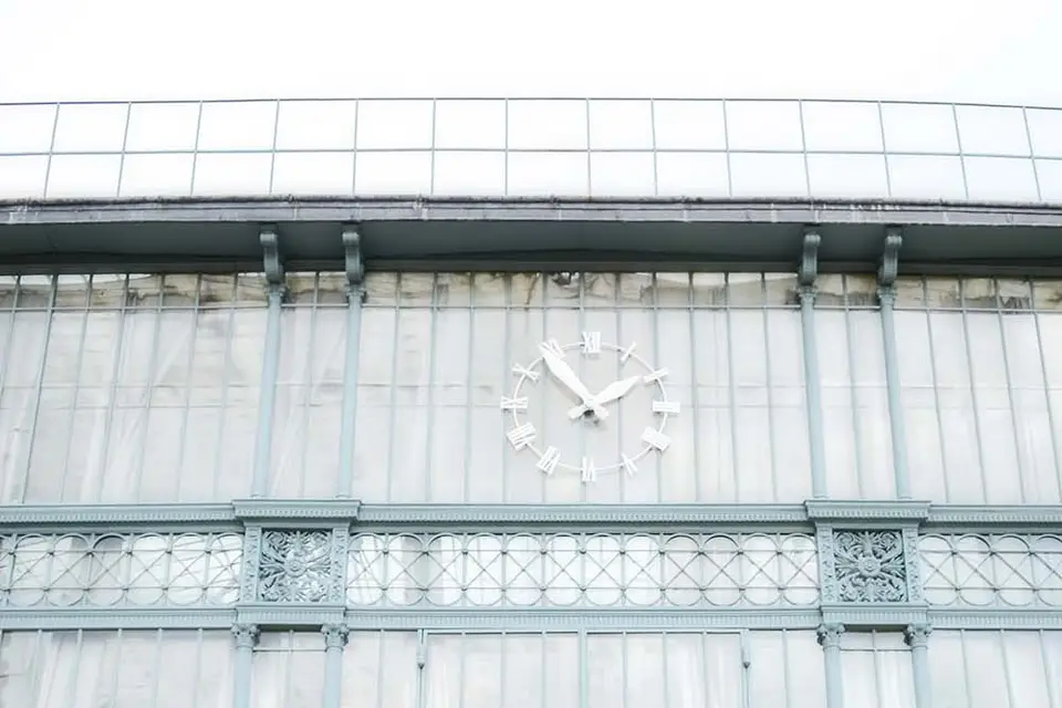 Mickael Denize — photo 5