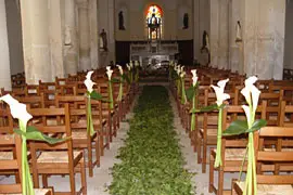 Catel Organisation — photo 5