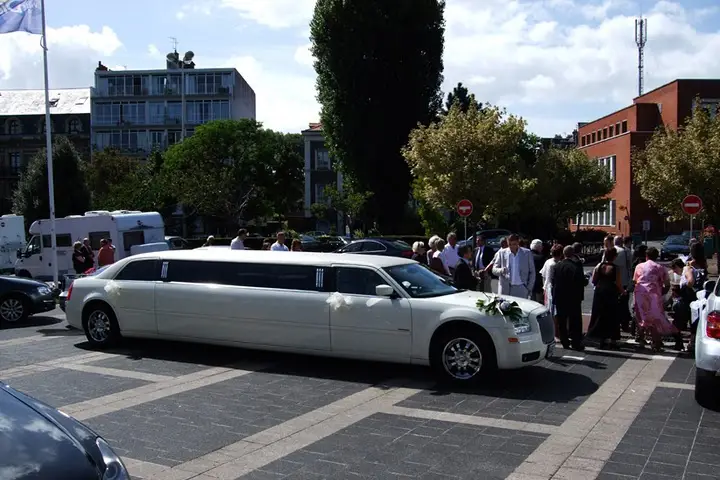 Catel Organisation — photo 4