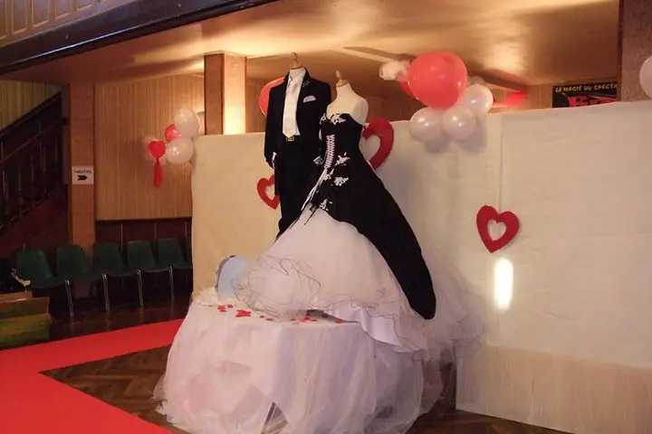 Catel Organisation — photo 1