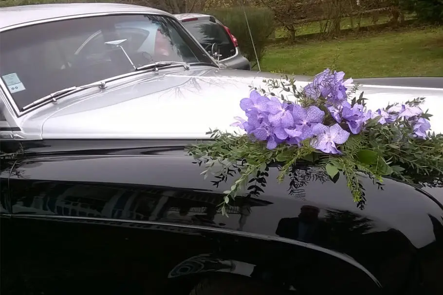 Prestige Cars Events — photo 5