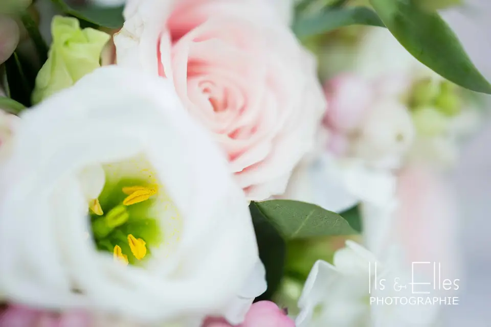 Happy Story — photo 8