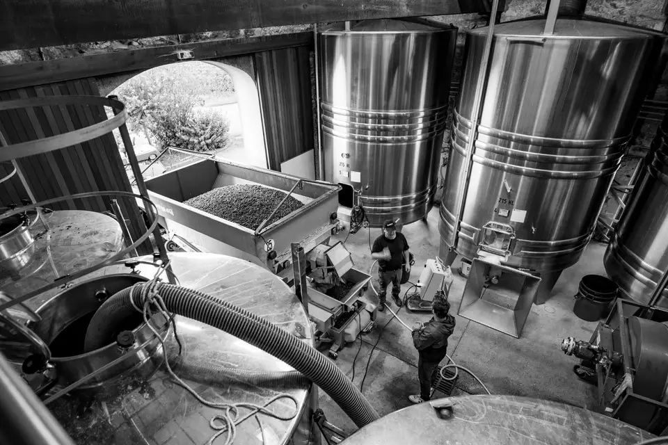 Grand Mayne — photo 5