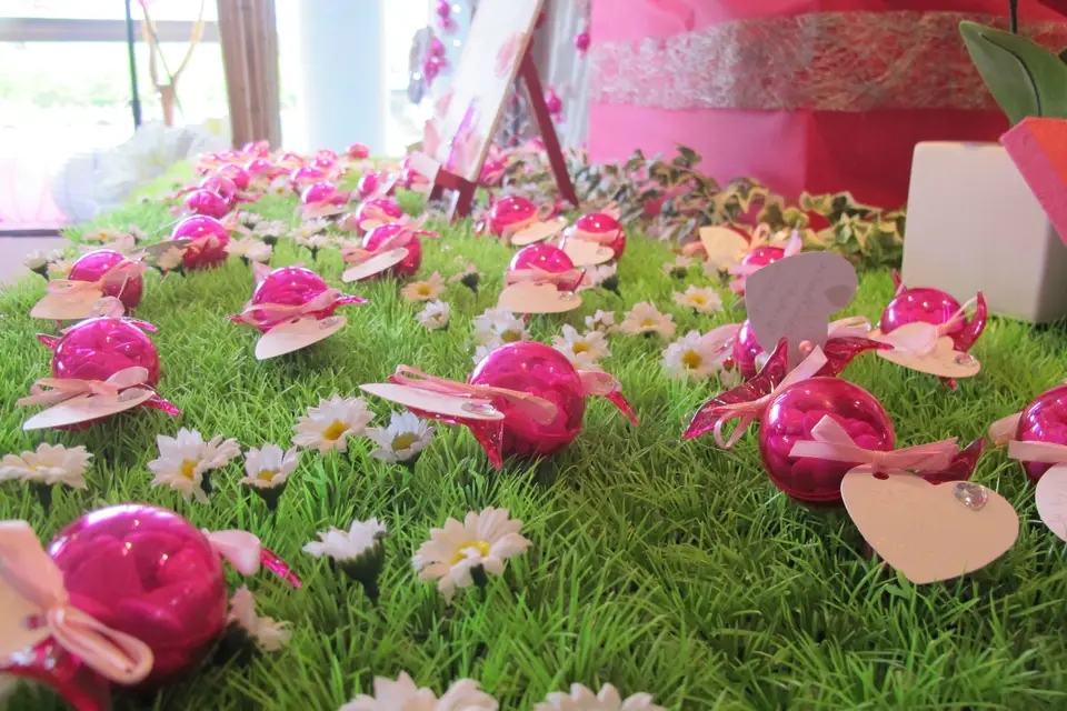 Dragées — photo 1