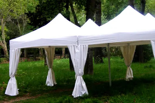 Chapi'Thau — photo 7