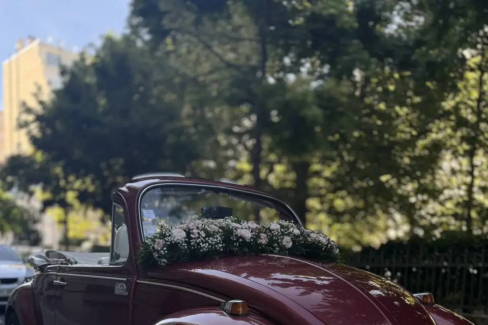 Location Vintage — photo 7