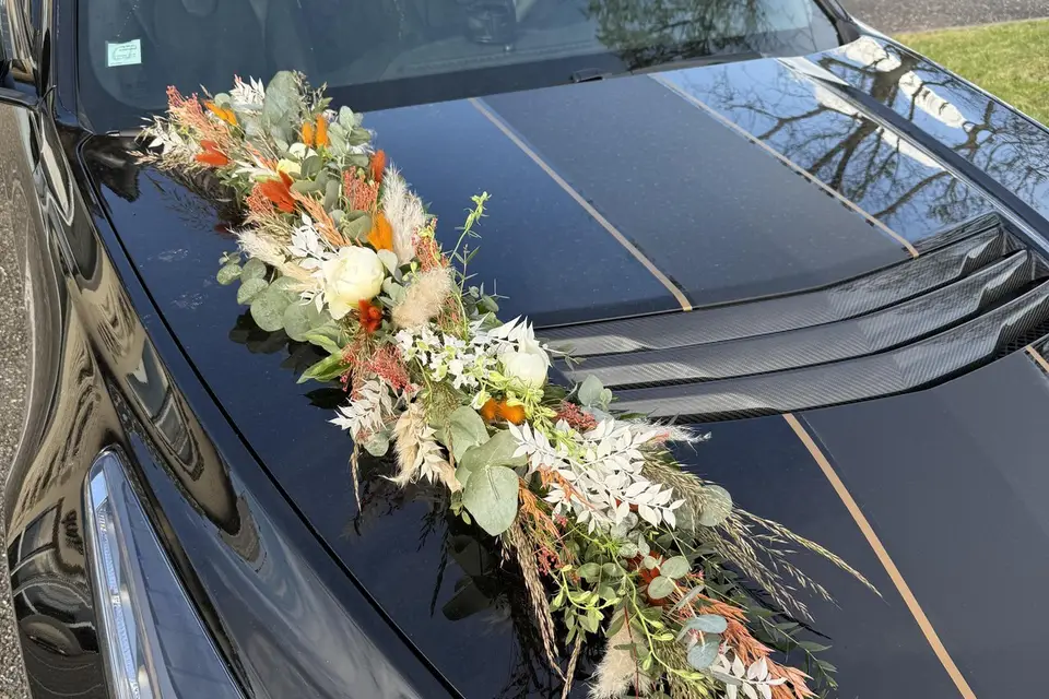 Atypique Végétal — photo 6