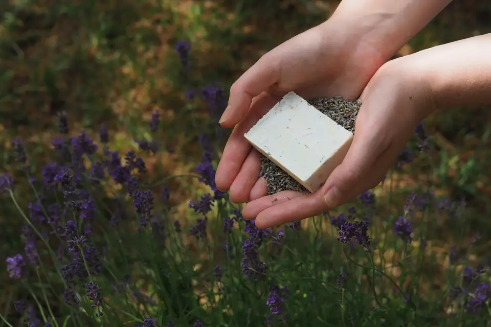 Moussaillon — photo 6