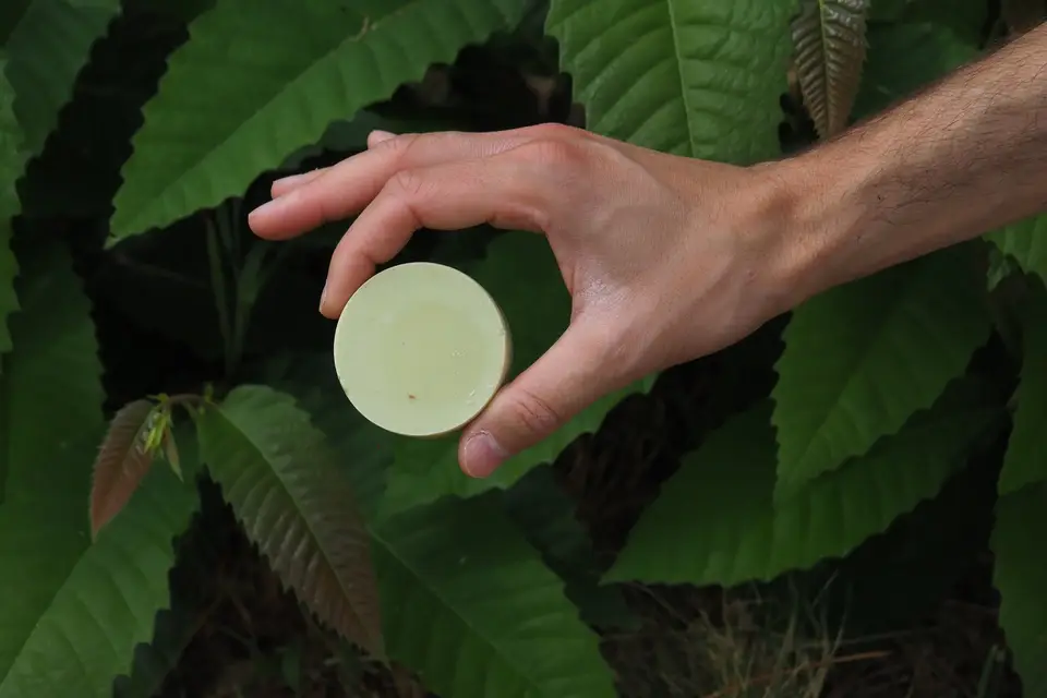 Moussaillon — photo 7