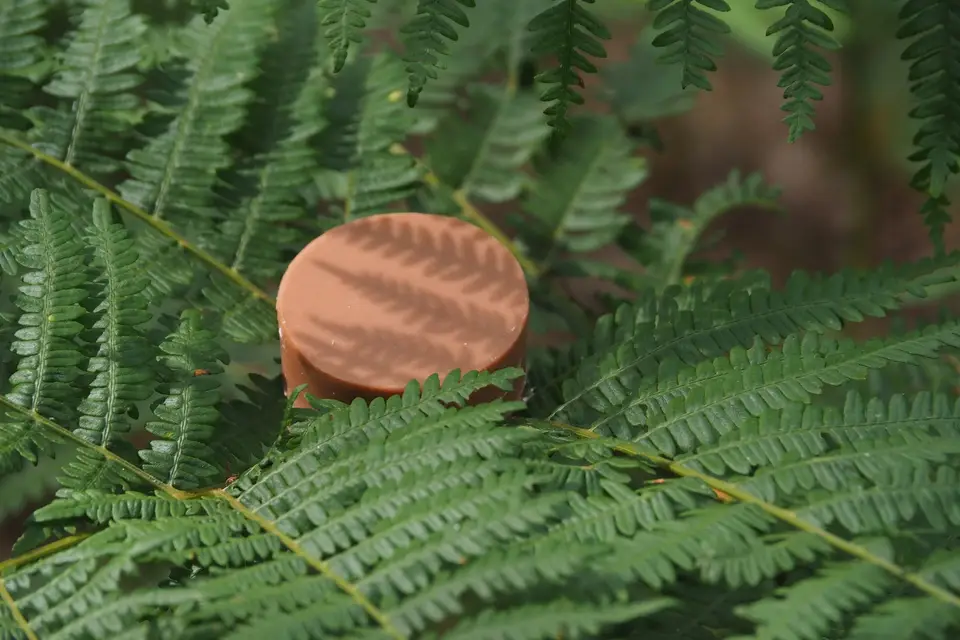 Moussaillon — photo 1