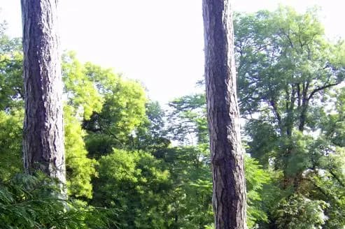 Château de Prauthoy — photo 5