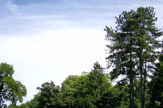 Château de Prauthoy — photo 1