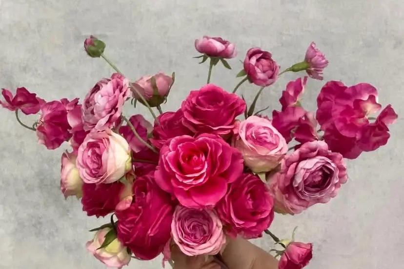 Le Souffle des Fleurs — photo 4