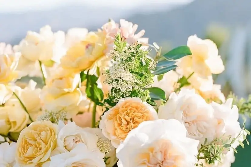 Le Souffle des Fleurs — photo 6