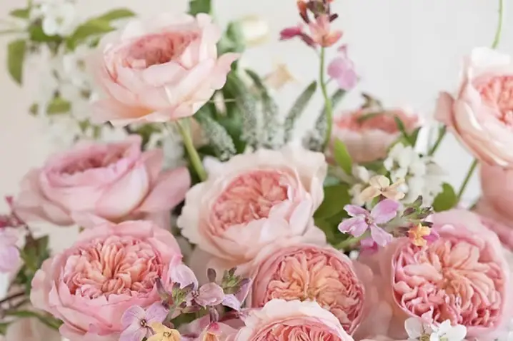 Le Souffle des Fleurs