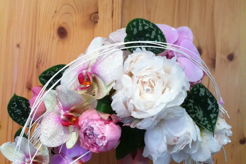 Célifleurs — photo 5