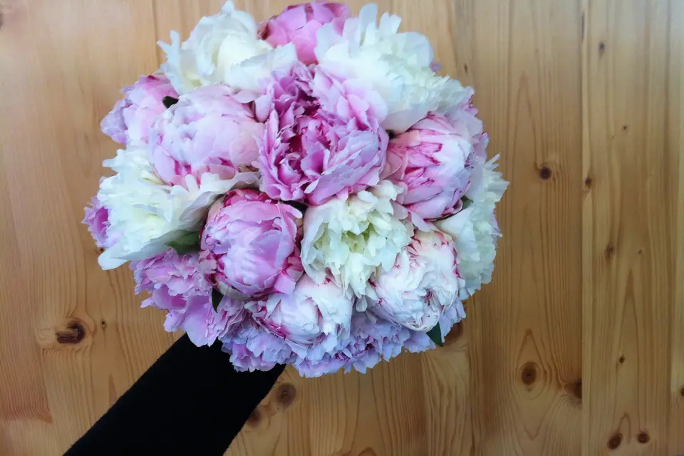 Célifleurs — photo 1