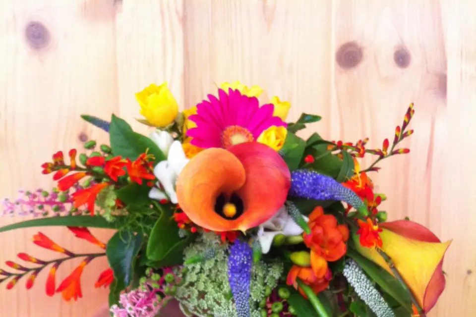 Célifleurs — photo 7