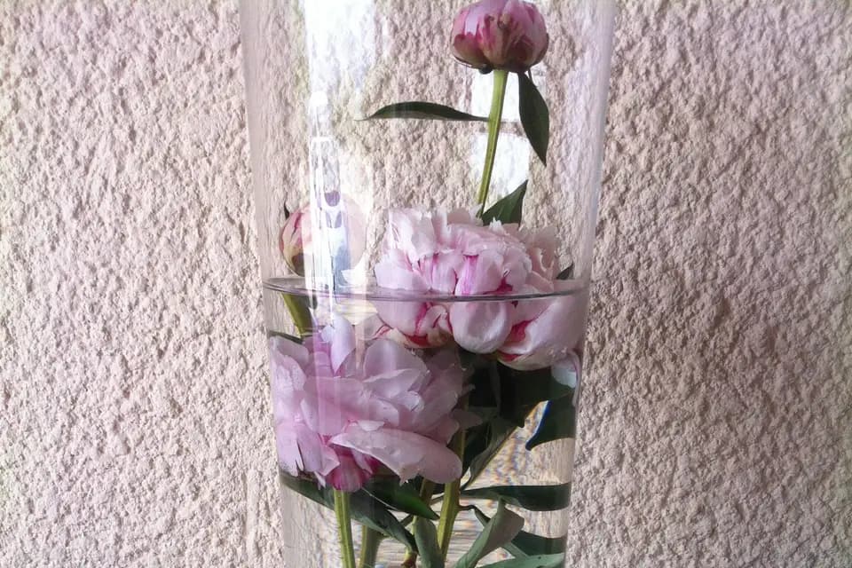 Célifleurs — photo 8