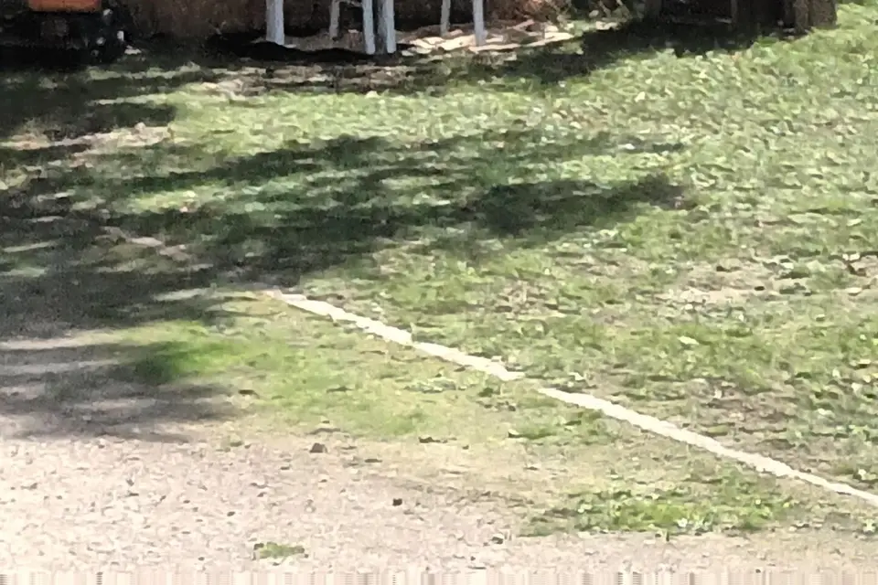 Dj Aldes — photo 2