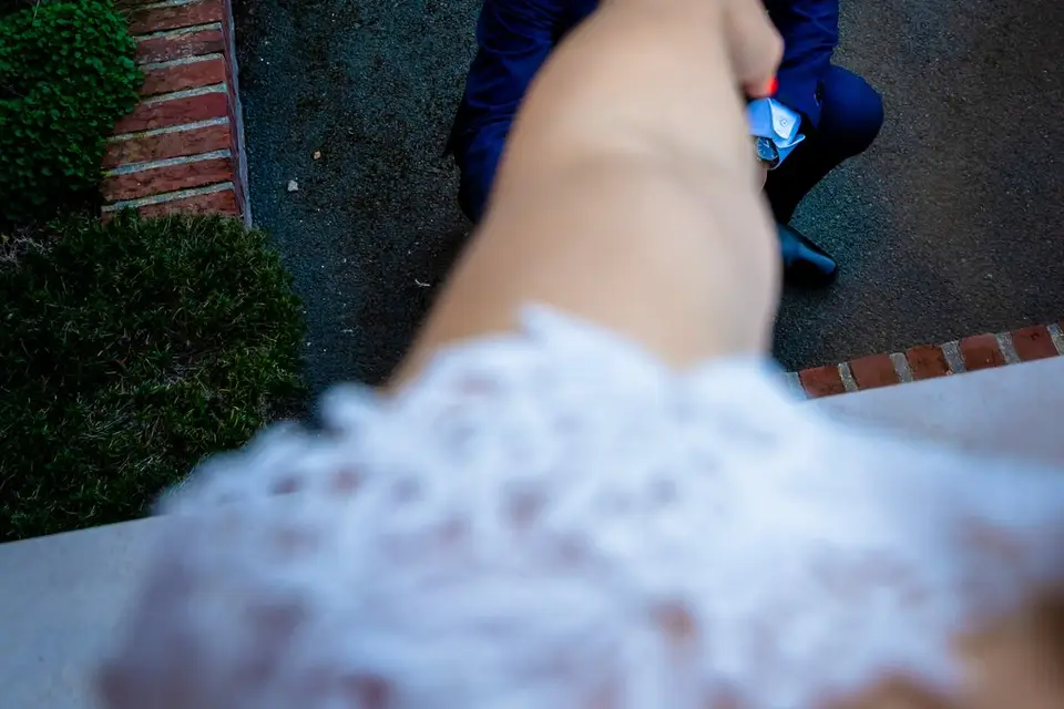 Stop Pictures — photo 6