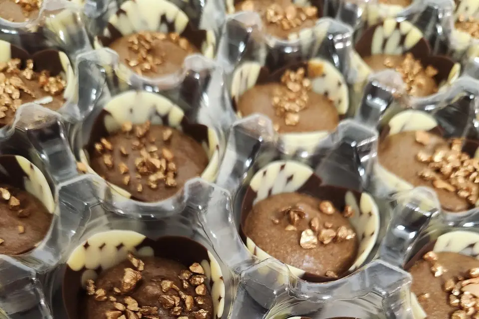 Domaine Saint-Ferréol — photo 4