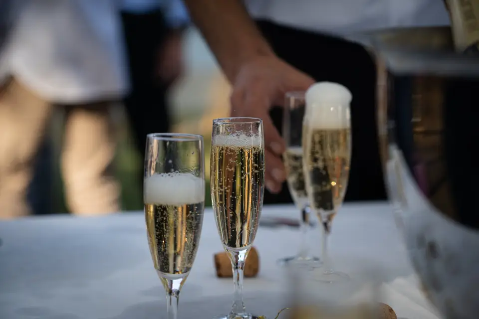 Domaine Saint-Ferréol — photo 8