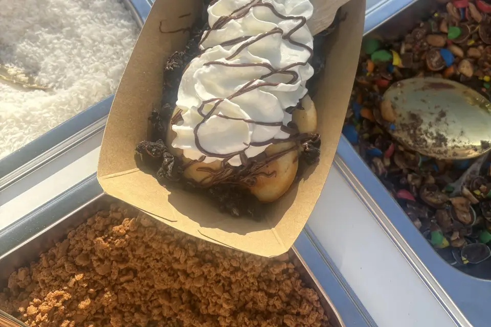 Little Fluffy — photo 6