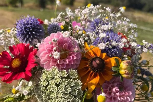 Les 5 Saisons — photo 2