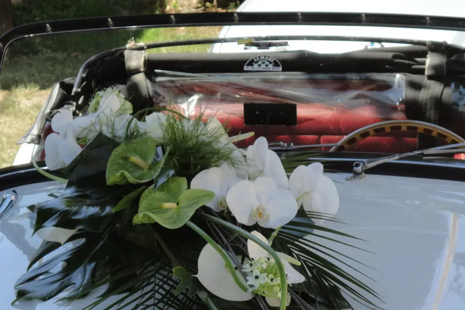 Art'floral Manoa — photo 3