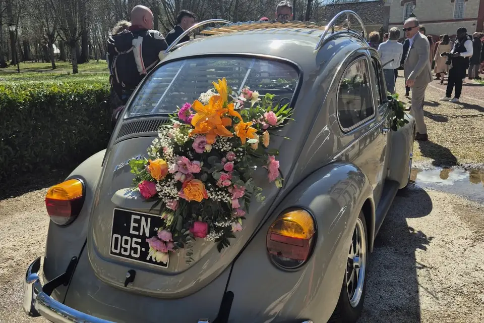 Vannaval Product — photo 8