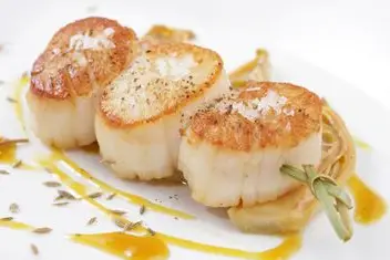 Best Western Europe Hotel — photo 4