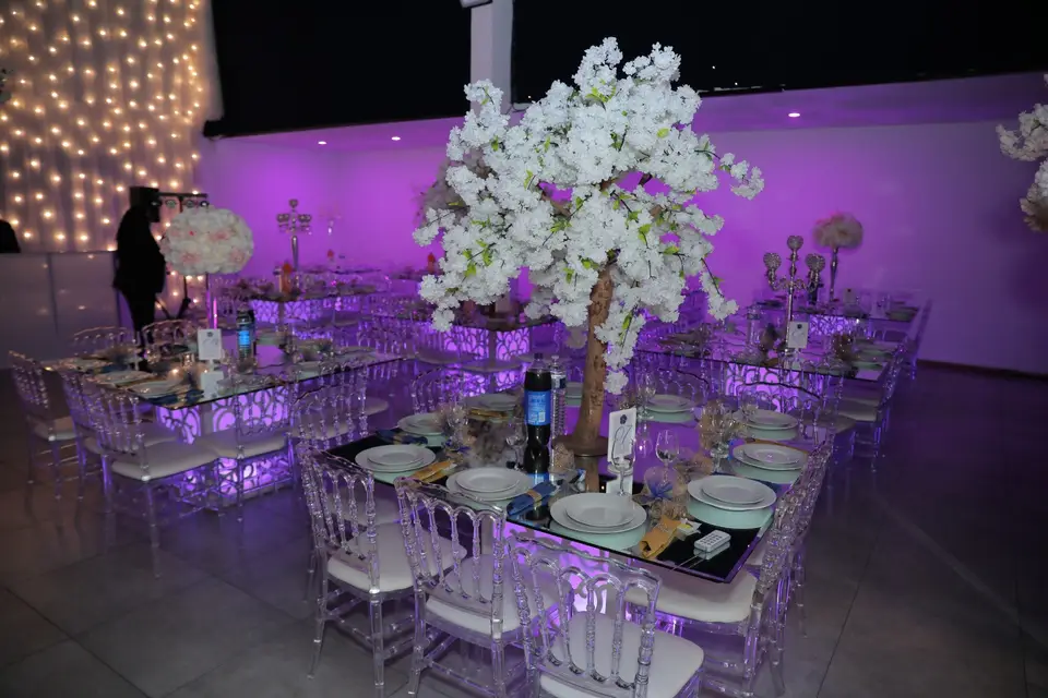 Nell Agence — photo 7