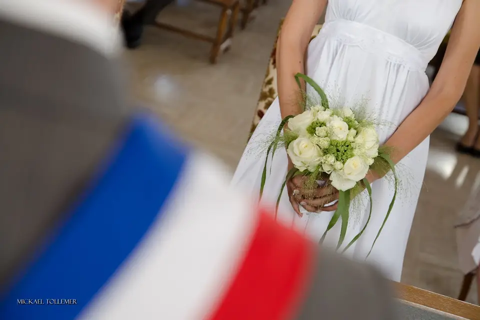 Mickael Tollemer — photo 7