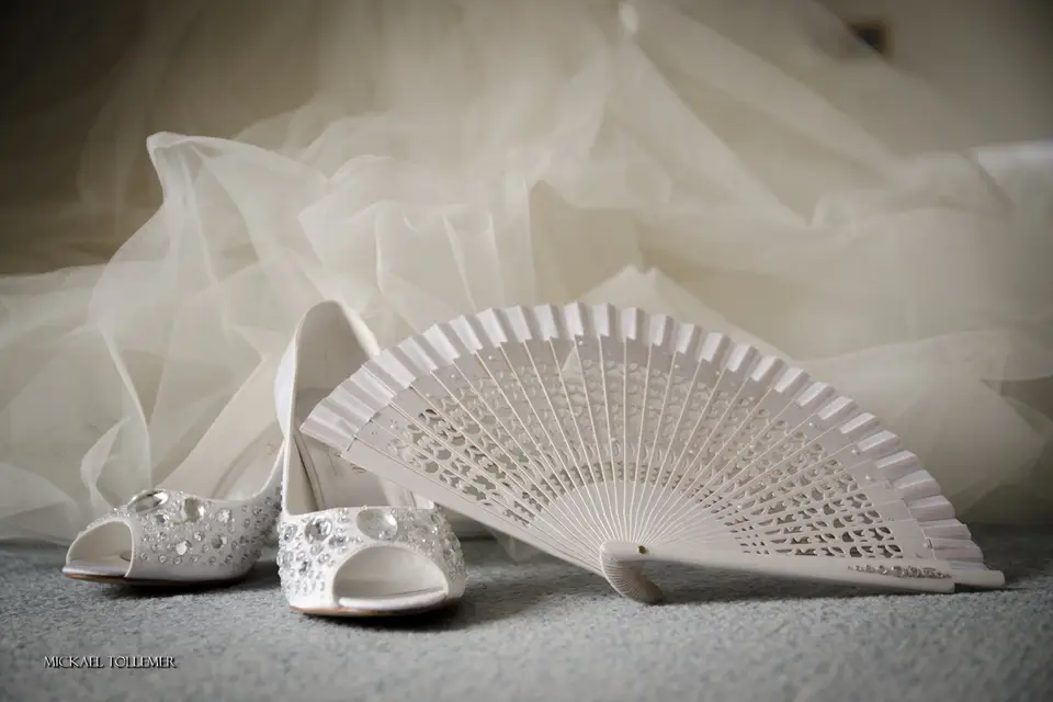 Mickael Tollemer — photo 8