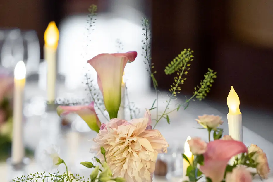 Esprit Carambole — photo 2