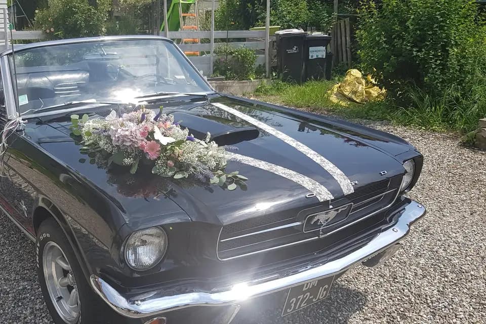Passion Mustang 67 — photo 5