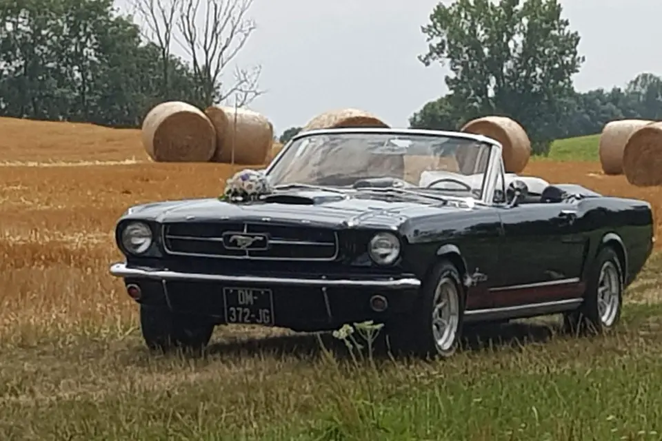 Passion Mustang 67 — photo 2