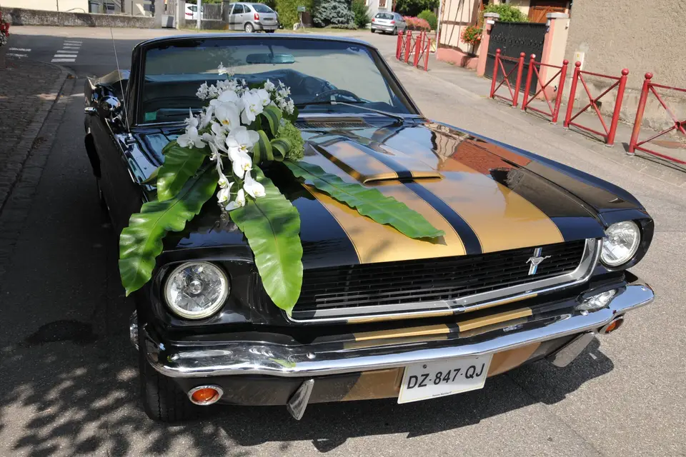 Passion Mustang 67 — photo 1