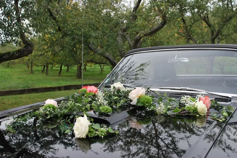 Passion Mustang 67 — photo 3