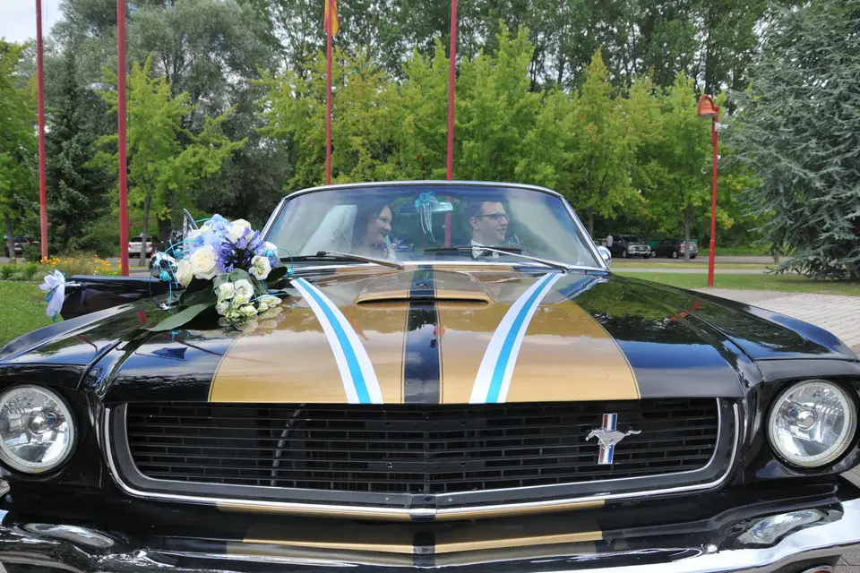 Passion Mustang 67 — photo 4