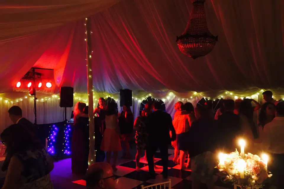 Sounds Crazy Disco — photo 1