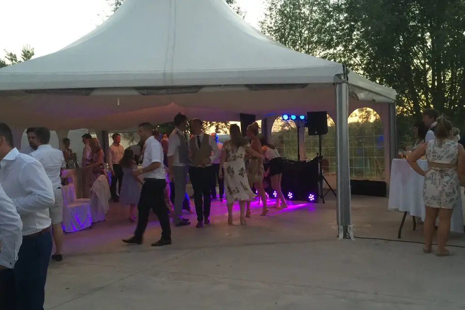 Sounds Crazy Disco — photo 6