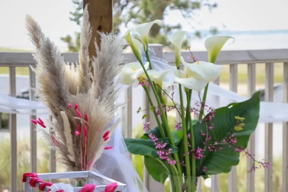 M. Magic Déco — photo 4