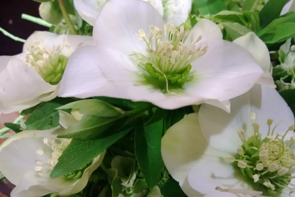 J.Hermant Artisan d'Art Fleuriste