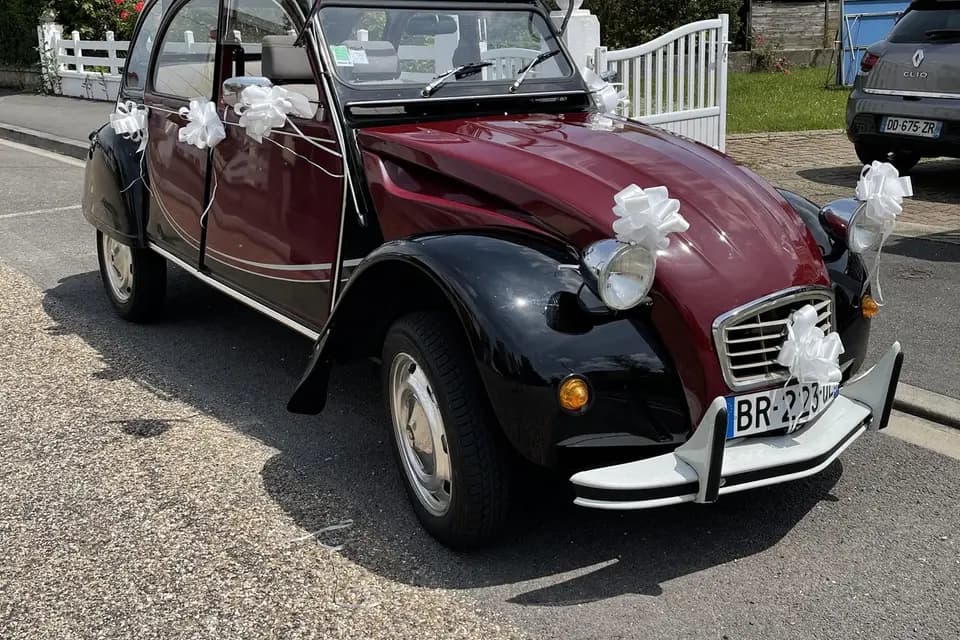 Classic Love — photo 5